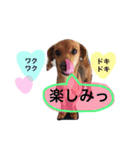 もずくのスタンプ（個別スタンプ：19）