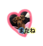もずくのスタンプ（個別スタンプ：20）