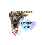もずくのスタンプ（個別スタンプ：22）
