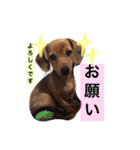 もずくのスタンプ（個別スタンプ：23）