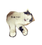yoshiko.life（個別スタンプ：12）