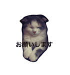 yoshiko.life（個別スタンプ：14）