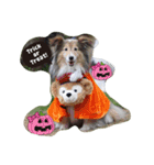 ワンズ Go！Go！ ハロウィン！！（個別スタンプ：3）