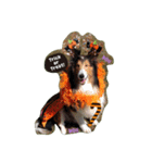 ワンズ Go！Go！ ハロウィン！！（個別スタンプ：4）