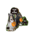 ワンズ Go！Go！ ハロウィン！！（個別スタンプ：5）