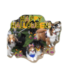 ワンズ Go！Go！ ハロウィン！！（個別スタンプ：9）
