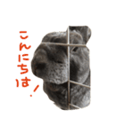 るるうさぎ2（個別スタンプ：22）
