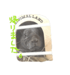 るるうさぎ2（個別スタンプ：27）