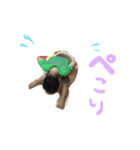 日常会話52（個別スタンプ：7）