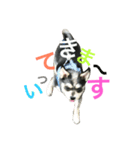 エースくん 2（個別スタンプ：14）