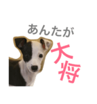 牛柄犬のつぶやき (アール君の幼少期)（個別スタンプ：20）