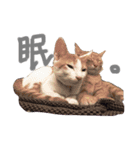 白たまとちる〜（個別スタンプ：5）