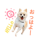 うちの子可愛いスタンプ第2弾（個別スタンプ：5）