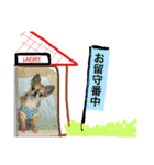 うちの子可愛いスタンプ第2弾（個別スタンプ：6）