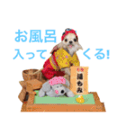 小悪魔ブラザーズpart3（個別スタンプ：31）