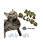 ノラとテリー（個別スタンプ：8）