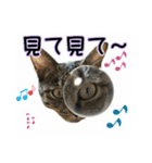 ノラとテリー（個別スタンプ：10）