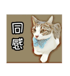 ノラとテリー（個別スタンプ：11）