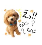 Puppy Poohちゃん（個別スタンプ：2）