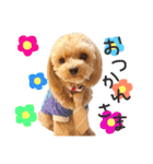 Puppy Poohちゃん（個別スタンプ：5）