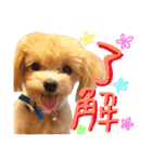 Puppy Poohちゃん（個別スタンプ：15）