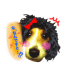 我が家の着ぐるみ族 2（個別スタンプ：11）