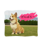 MJふく  2（個別スタンプ：1）