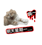 Fat ＆ Funny Cat（個別スタンプ：8）