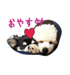 ぎんくんじゅのくん（個別スタンプ：1）