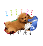 ぎんくんじゅのくん（個別スタンプ：3）
