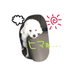 ぎんくんじゅのくん（個別スタンプ：7）