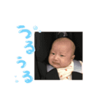 りんちゃんのまいにち（個別スタンプ：6）