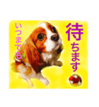 うちの犬。（個別スタンプ：5）