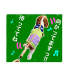 うちの犬。（個別スタンプ：8）