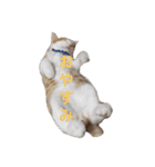 ふうちゃみりんもも（個別スタンプ：6）