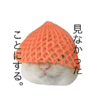 ねこのコロネさんとお友達。（個別スタンプ：9）