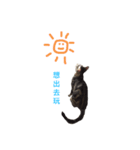 KiFi（個別スタンプ：4）