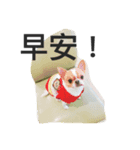 Candy  Candy（個別スタンプ：1）