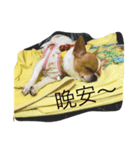 Candy  Candy（個別スタンプ：4）