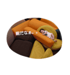 赤ちゃんちーさんのスタンプ3（個別スタンプ：8）