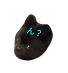黒ポメぽんた（個別スタンプ：2）