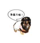 ブラタンダックスタンプ（個別スタンプ：3）