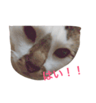 ほんとは甘えん坊（個別スタンプ：3）