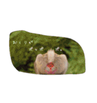 おもしろあにまる（個別スタンプ：22）
