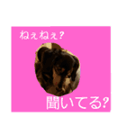 ロイくんパート2♪♪（個別スタンプ：2）