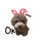 cocker＆poodle MIMI/Dori Vol.2（個別スタンプ：1）