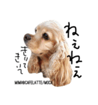 cocker＆poodle MIMI/Dori Vol.2（個別スタンプ：25）