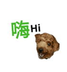Winnie and momo（個別スタンプ：7）