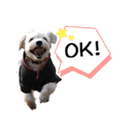 ミックス犬ロブとマロイ（個別スタンプ：2）