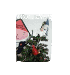 秋、冬（個別スタンプ：10）